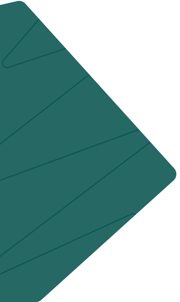 We begin by researching &amp; identifying successful CEOs