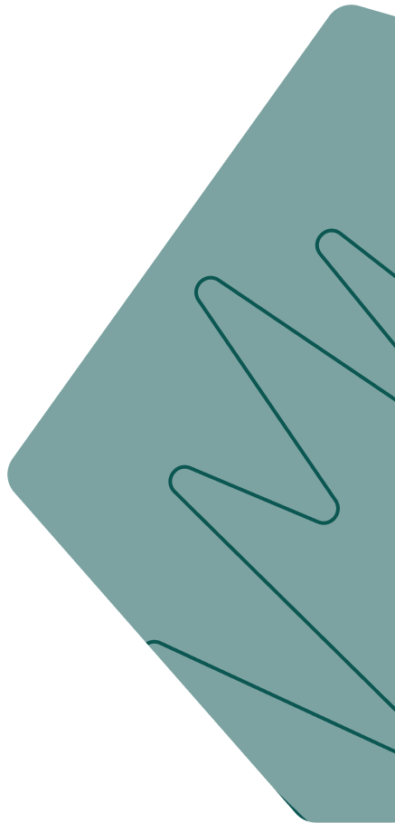 We begin by researching &amp; identifying successful CEOs